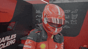 See Formula 1 GIF by Formula Santander