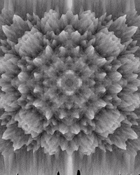 Video Glitch GIF by Aleksey Efremov