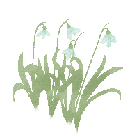 Flower Blooming Sticker by Lara Paulussen