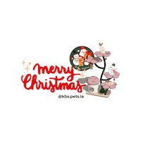 Merry Christmas Cat Sticker by KBSPETS