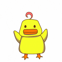 Cute Duck Wow GIF