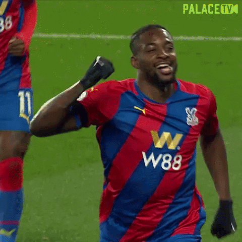 Premier League Football GIF by CPFC