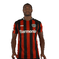 Swipe Up Jonathan Tah Sticker by Bayer 04 Leverkusen