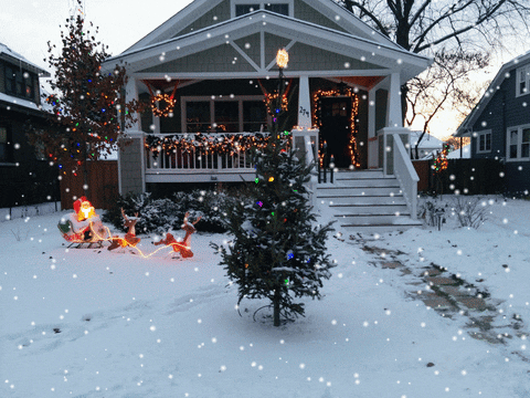 tree GIF