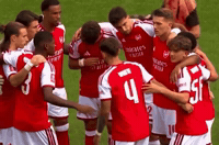 Arsenal GIF by memes