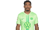 Football Thumbs Up Sticker by VfL Wolfsburg