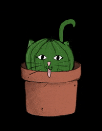 tinymischiefs cat cute kitty plants GIF