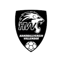 Handball Sticker by HVV