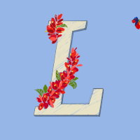 typography l GIF