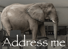 Elephant Address GIF