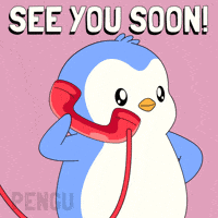 See Ya Hello GIF by Pudgy Penguins