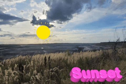 Kinotastisch giphyattribution sunset giphycreatortest GIF