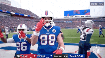 Buffalo Bills Football GIF by NFL
