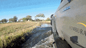 Botswana Yzexperts GIF by Yellow Zebra Safaris