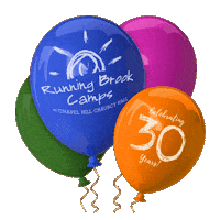 Rbc Sticker by Chapel Hill-Chauncy Hall School