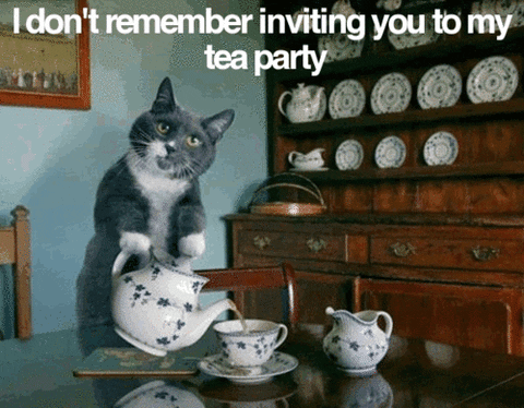 tea party cat GIF