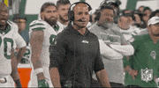 New York Jets Ugh GIF by NFL