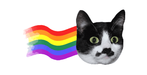 Cat Wow Sticker
