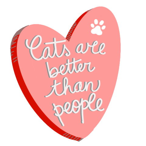 amicidichicco giphyupload cat gatti gattara Sticker