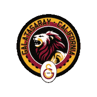 Soccer Futbol Sticker by joyxtr