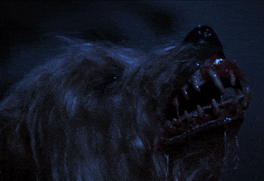lamberto bava demons GIF by Shudder