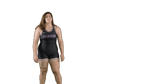 Ppp D3 Sticker by Albion College