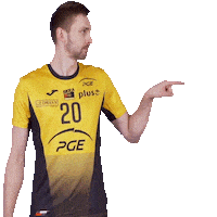 Volleyball Sticker by PGE Skra Bełchatów