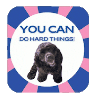 You Can Attitude Sticker by Camp Cocker Rescue