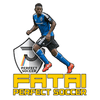 Mls Ps Sticker by Perfect Soccer