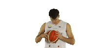 Basketball Dunk Sticker by Lions de Genève