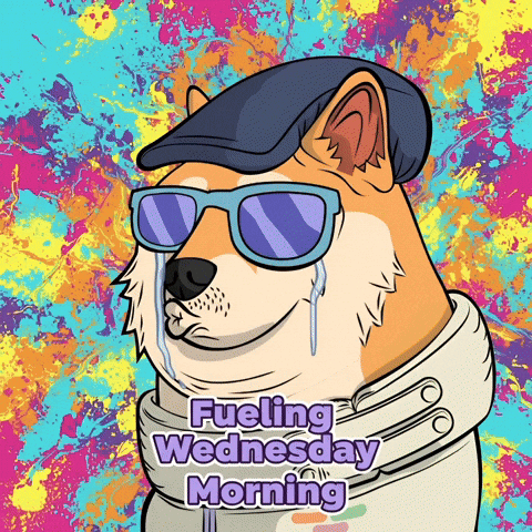 Shiba Inu Crying GIF by Doge Pound