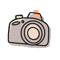 squishandsprout smile photography photo camera Sticker