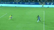 Fc Goa Soccer GIF by Indian Super League