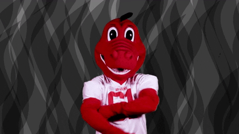 oh yeah dragons GIF by Minnesota State University Moorhead