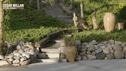 Dogwhisperer GIF by National Geographic Channel