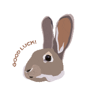 Bunny Good Luck Sticker