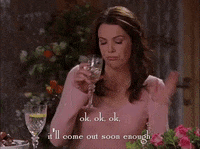 season 3 netflix GIF by Gilmore Girls 