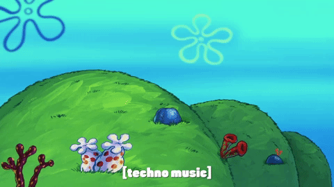 season 9 GIF by SpongeBob SquarePants