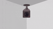 Camera Recording GIF by South Park