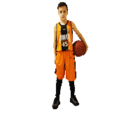 Iago Basket Sticker by pollerias velasco