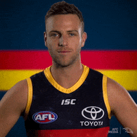 adelaidecrows 2019 afl adelaide crows afc media GIF