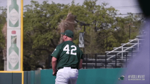 baseball wave GIF by GreenWave
