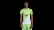 Germany Applause GIF by VfL Wolfsburg