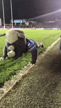 rugby league love GIF by Leeds Rhinos