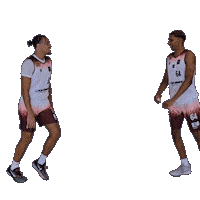 Basketball Winasone Sticker by Iserlohn Kangaroos