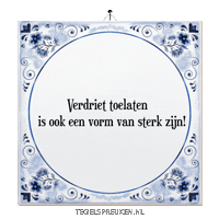 Humor Nl Sticker by Tegelspreuken.nl