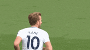 tottenham hotspur GIF