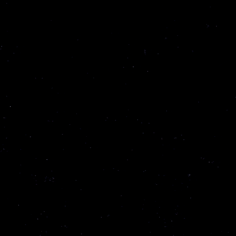 Hockey Tobias GIF by Eisbären Berlin