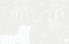 pretty girls like trap music GIF by 2 Chainz