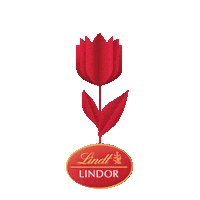 LindtPolska chocolate stickers transparency lindor Sticker